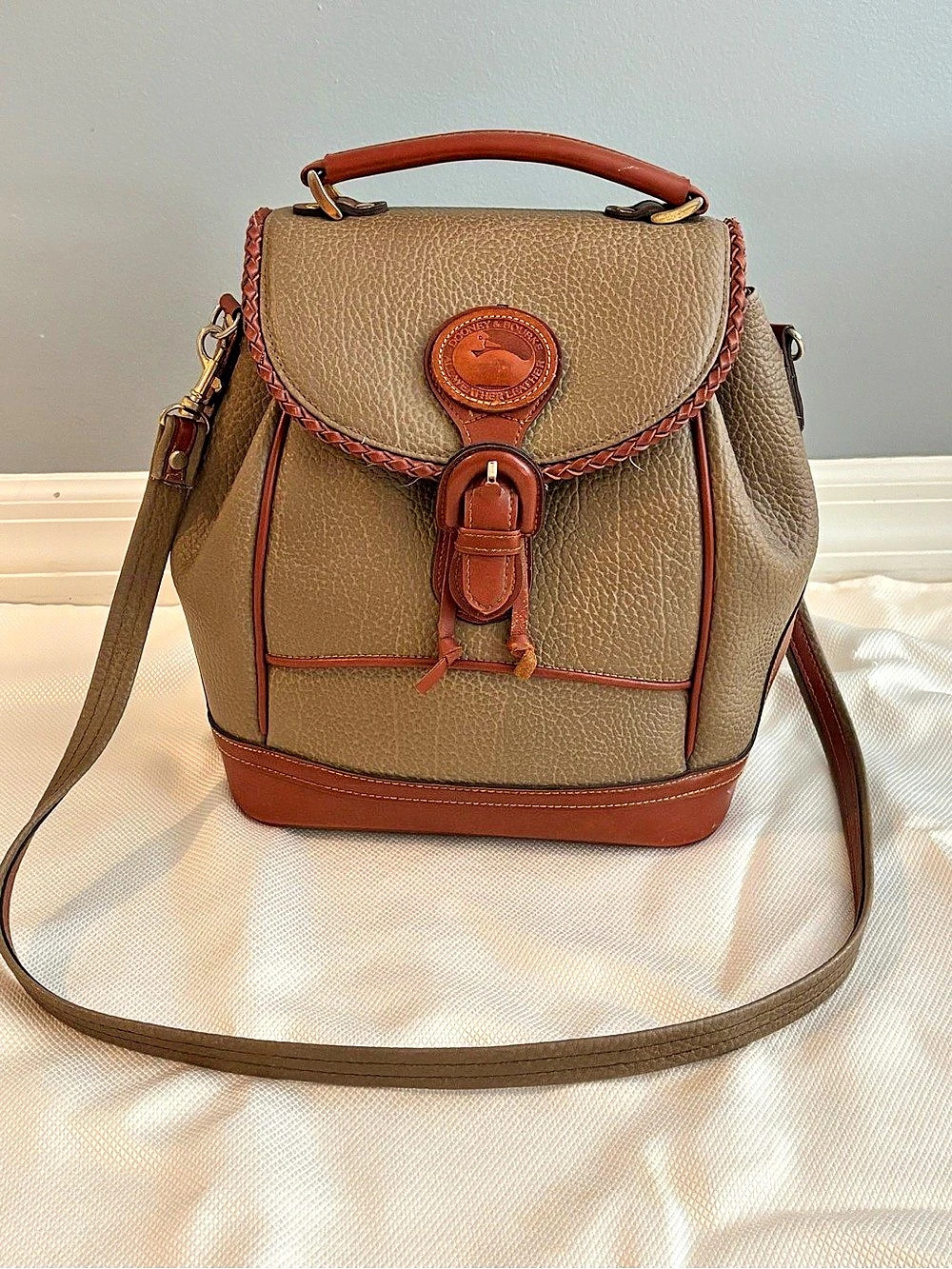 Dooney & Bourke Leather Trim Backpack in Brown & Green